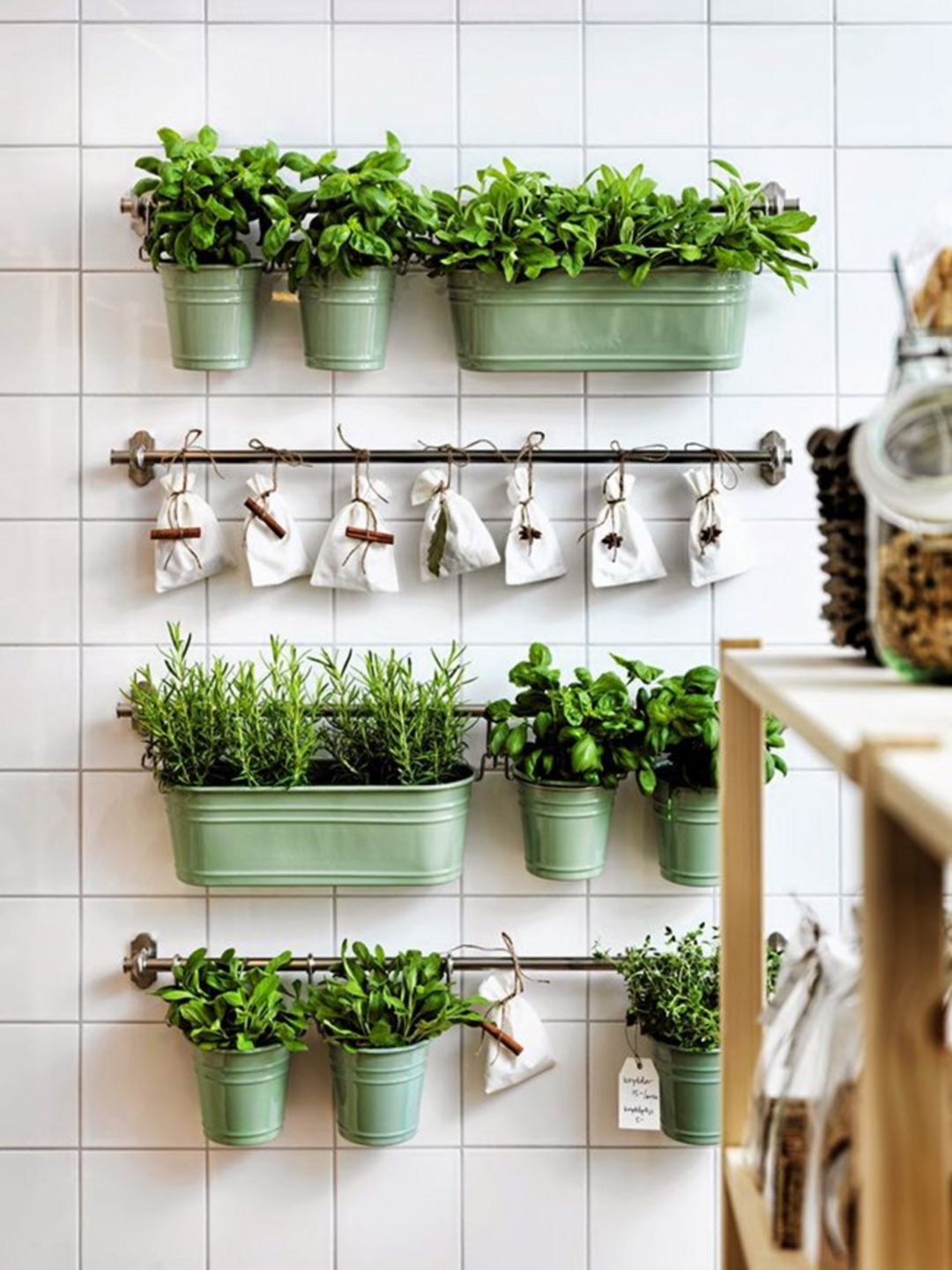 Plantas para la cocina Zona Garden
