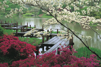 Jardin japones kyoto